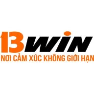 13windomains
