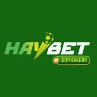 haybtbiz