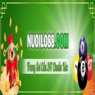 Nuoilocom1