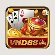 vndcasin1