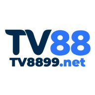 vtvnetvnn