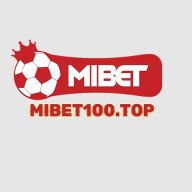 mibe-t100top