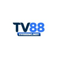 tvtamtamincnet
