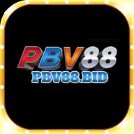 pbvbid1