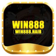 winhairvn