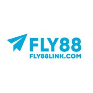 flylinkcom