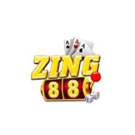 Zingcncom