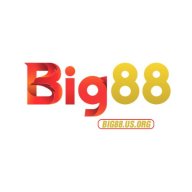 bigusorg