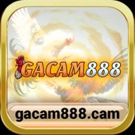 gacamcam1