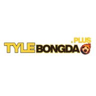 Tylebongdaplus1