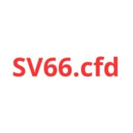 sv66cfd