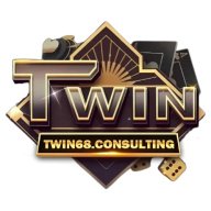 twin6consulting