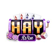 haywin1design