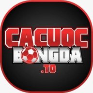 cacuocbongdato