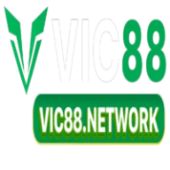 vicnetwork