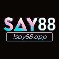 1sayapp