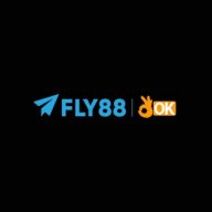 flyseocom1