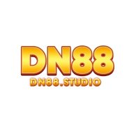 dnstudio
