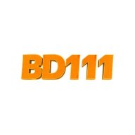 bd111art