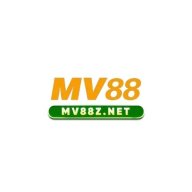 mvtamtamznet