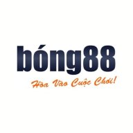 bongibeetcom