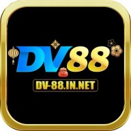 dvinnet