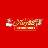 hayforex