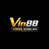 vinwebcam1