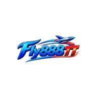 Ttflycom