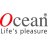 Việt Ocean